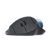 Drahtlos Maus Logitech ERGO M575 for Business 910-006221