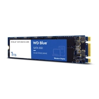 Western Digital WD Blue 1TB M.2 2280 SATA 6Gb/s TLC | WDS100T3B0B