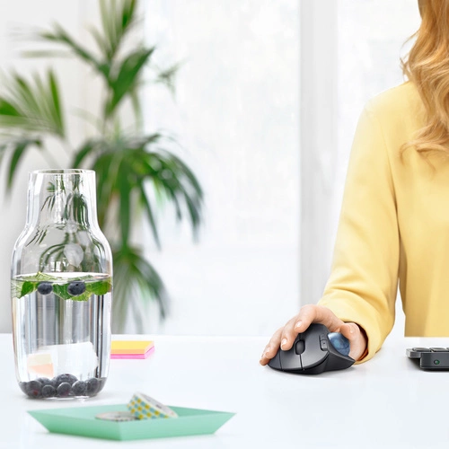 Drahtlos Maus Logitech Ergo M575 910-005872