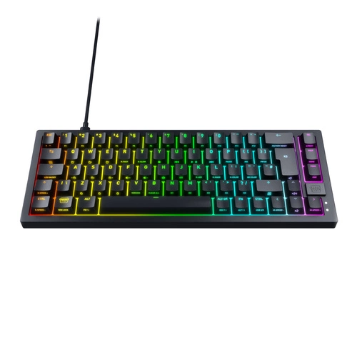 Verkabelt tastatur Cherry K5V2 Compact QWERTZ