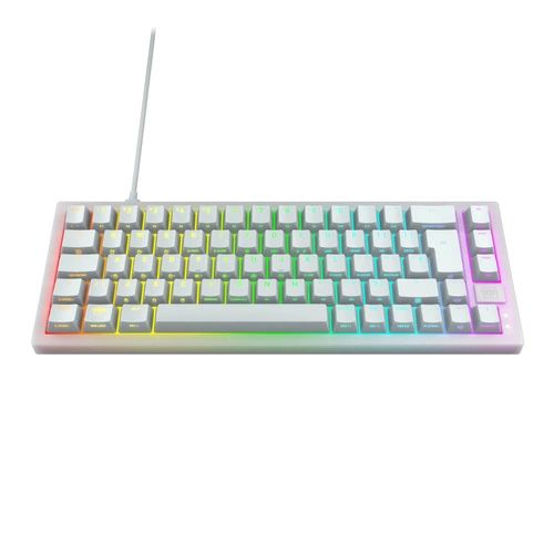 Verkabelt tastatur Cherry K5V2 Compact QWERTZ