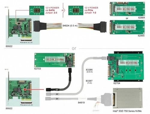 Delock Karte PCI Express x4 U.2 NVMe 1x SFF-8643 + 1x SFF-8639 | 89922