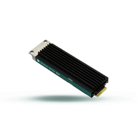 SSD Goodram DC10M 480GB E1.S NVMe PCIe 4.0 | GEDC10S100-480NS10B