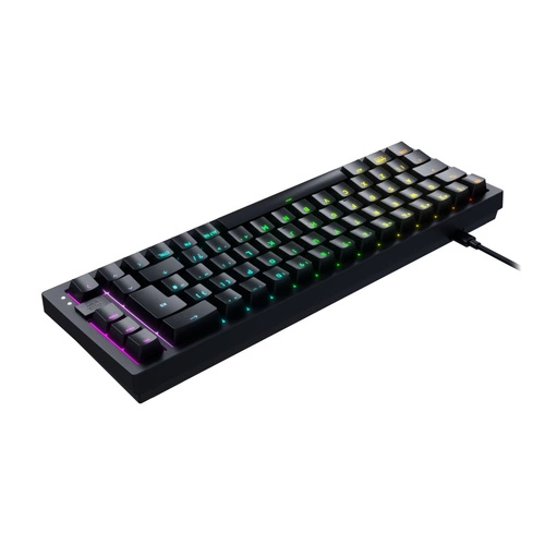 Verkabelt tastatur Cherry K5V2 Compact QWERTZ