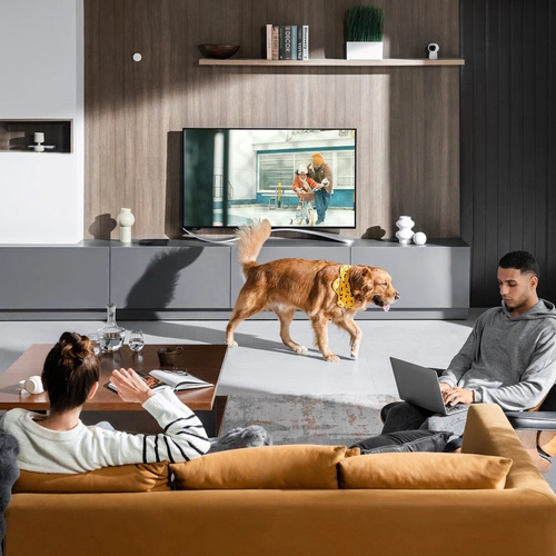 Intelligenter Sensor Aqara Presence Sensor FP2 | PS-S02D